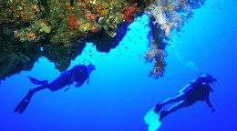 Divers-and-coral-reef-Hurghada-Egypt